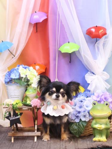 230625アリューくん